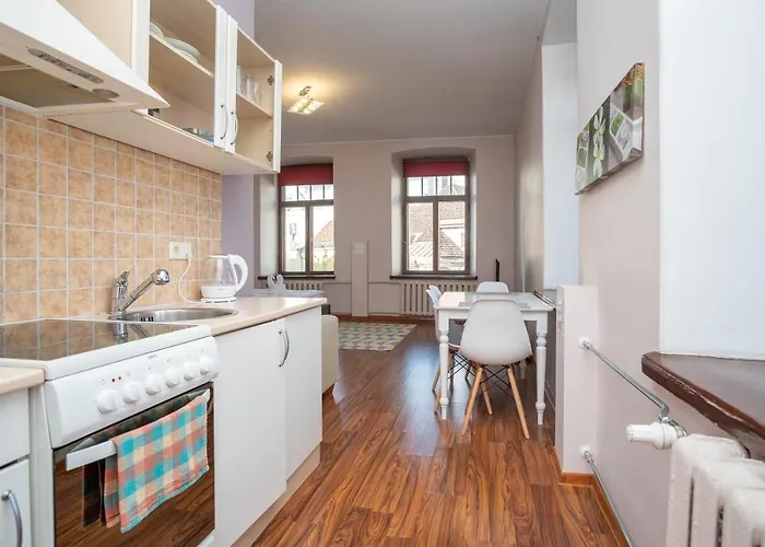 Old Town Studio - Uus Street 24 * Ταλίν